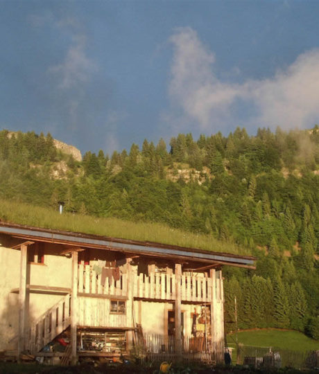 La Ferme au Chapeau Vert
