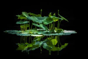 alfred-schrock-wfNm2fIgapI-unsplash