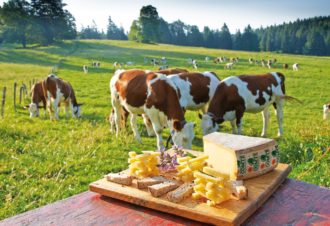 Rencontres sensorielles au pays du Comté