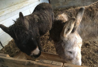 Chez Antoine & Martin