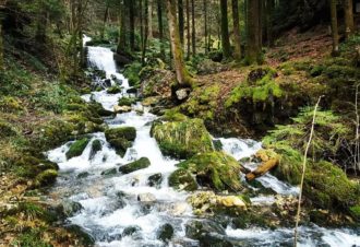 Source de l’Angillon