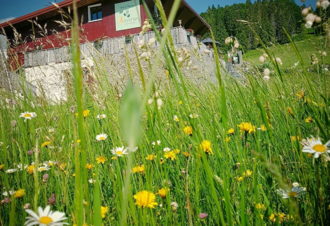 L’Anversis – Table de Montagne