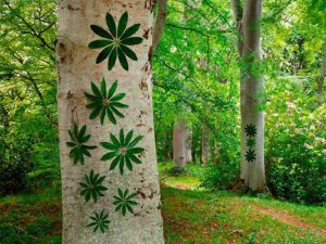 arbre-totem