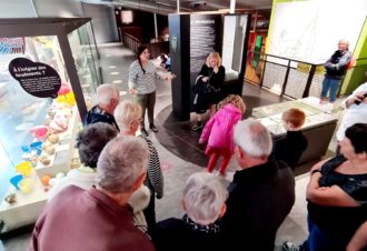 Visite guidée « Jeux et jouets des années 80 »