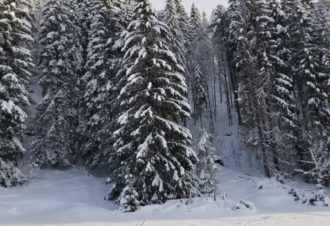 Appartement La Combe froide