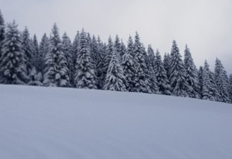 Appartement La Combe froide