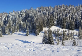 Appartement La Combe froide