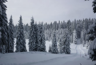 Chez nous – Mme Bailly-Salins C.