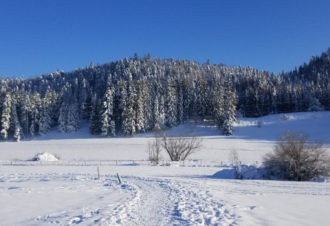 Appartement La Combe froide