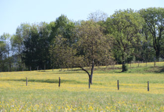 Appartement La Combe froide