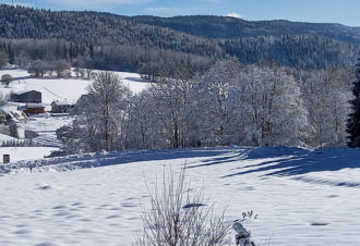 Chez nous – Mme Bailly-Salins C.