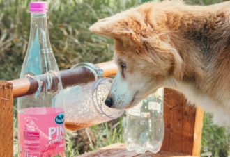 Wouf fun parc – garderie