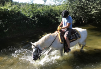 La Genette et la Salamandre