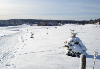 Site Nordique de Bellefontaine