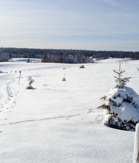 Site Nordique de Bellefontaine