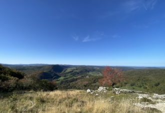 Belvédère du Couillou