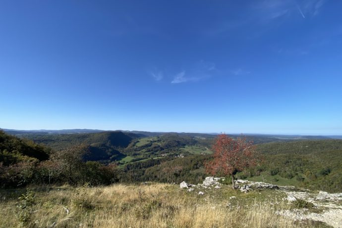 belvedere_petitrelais_foncinelehaut_automne_2023_©CNJ (6)