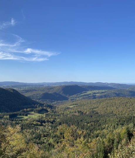 Belvédère des Arboux