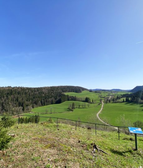 Belvédère du Morillon