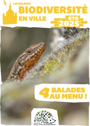 Biodiversité en ville