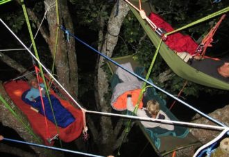 Terres et Cimes – grimpe d&rsquo;arbres & animations nature