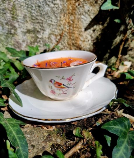 882048La Reine des Prés