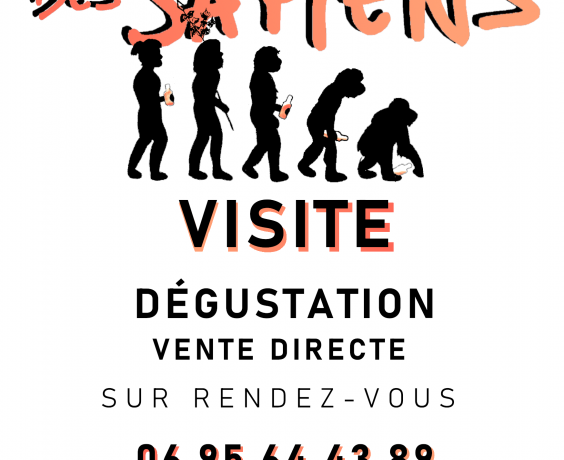 brasserie des sapiens