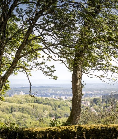 Sanctuaire du Mont Roland