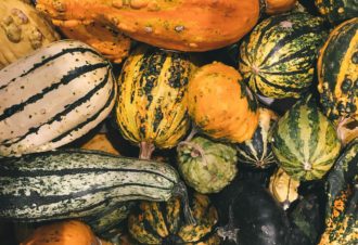 Fête de la courge & des saveurs d&rsquo;automne