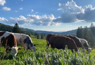 Gîte « La Belle Vue »