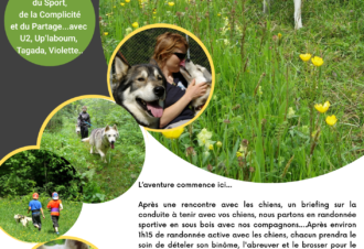 Sentiers Nordiques – Chiens de traîneaux