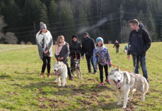 Canirando – Terre et Neige