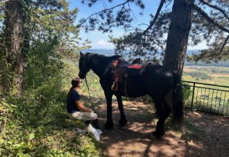 La Genette et la Salamandre