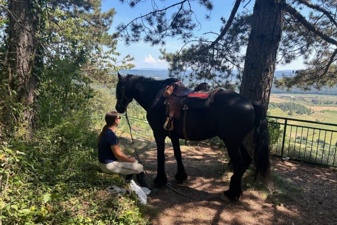GENETTE ET SALAMANDRE
