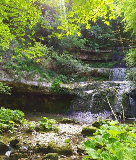 Cascade de Pissevieille