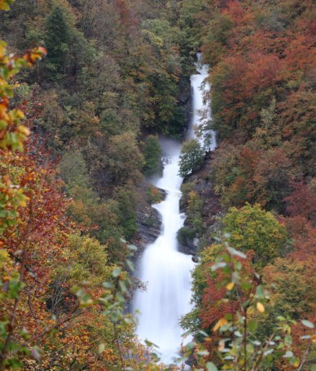 Gorges de Malvaux – Bief de la Ruine