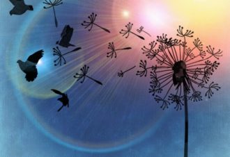 Centre de Ressourcement – Nature Divine