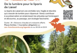 Chantier nature