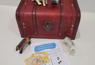 Chasse au trésor des animaux polaires