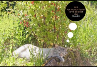 Les Billardes – Chambres d’hôtes