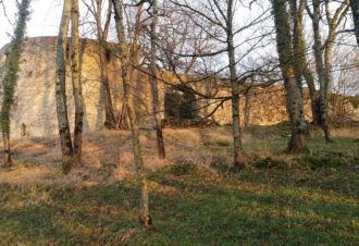 Vestiges du Château de Beaufort