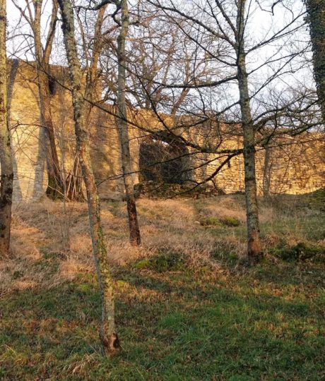 Vestiges du château de Beaufort