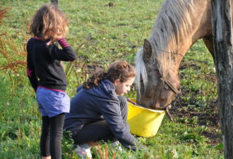 En famille à la campagne à la découverte des animaux