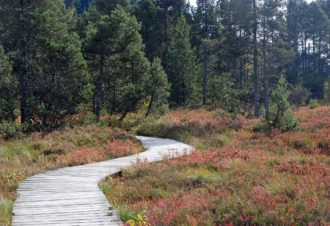 Rando pédestre – Tourbière de Prénovel & belvédère sur le fort