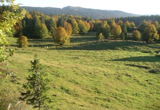 Sentier de la forêt du Massacre