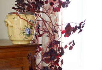 Gîte La Côte fleurie