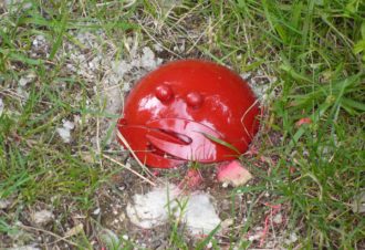 Sentier « La Sirène Egarée »