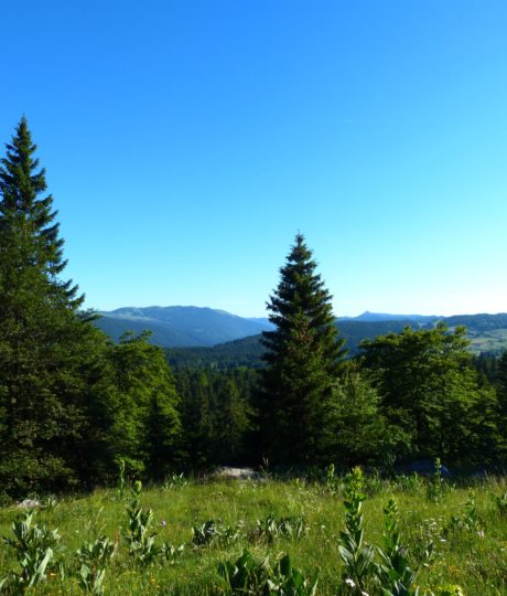 Le Crêt de la Vigoureuse