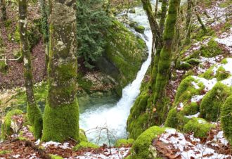 Source du Bief de la Ruine et Creux des Joyaux