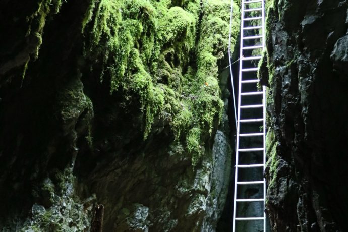 creuxmaldru_grotte_foncinelehaut_ete_2018_©CNJ (20)